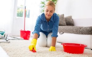 como manter o tapete limpo e conservado como manter o tapete limpo e conservado